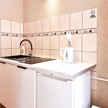 Przy Parku Zdrojowym - Darmowy Parking Apartment